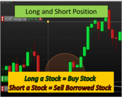 Long Position and Short Position – A Quick Guide About Buying and Selling Stocks For Beginners